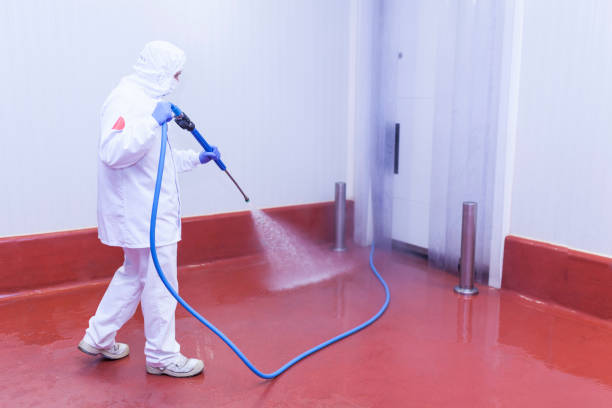 Trusted Jenison, MI Pressure Washing Experts