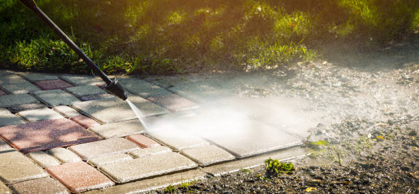 Best Dumpster Area Cleaning  in Jenison, MI