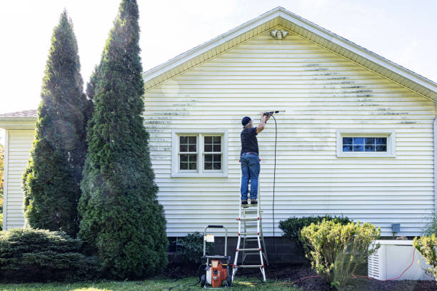 Boat and Dock Cleaning in Jenison, MI